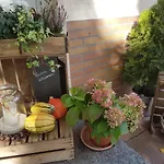 Haus Sonneck بيت ضيافة