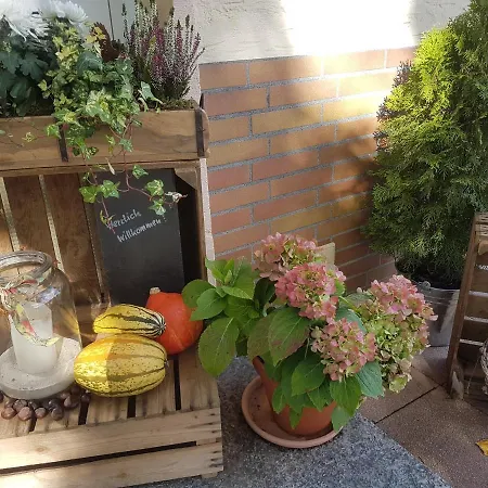 Haus Sonneck 게스트하우스