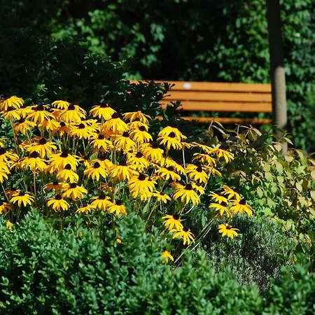 Haus Sonneck 게스트하우스 *