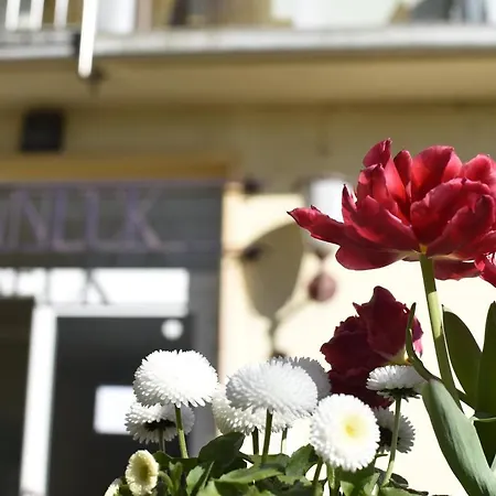 게스트하우스 Haus Sonneck