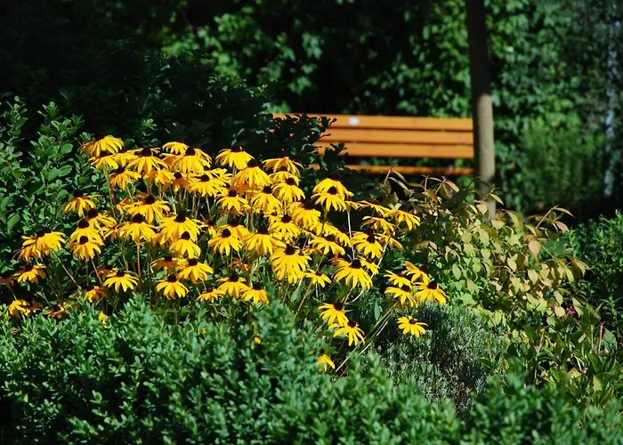 Haus Sonneck Vendégház *