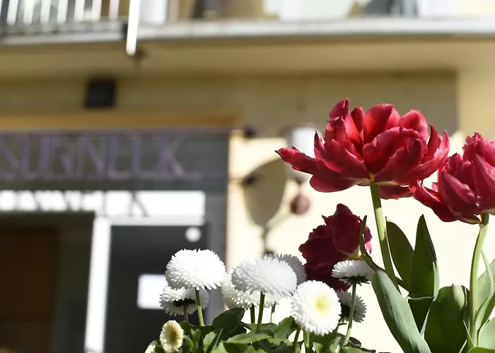 Vendégház Haus Sonneck